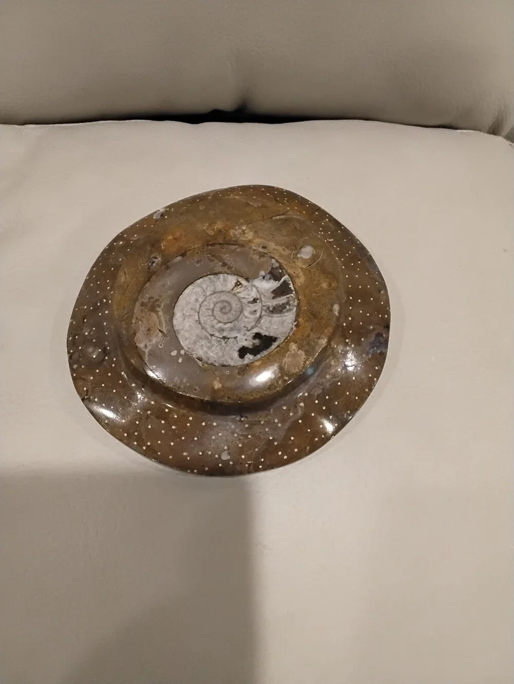 Vintage Cephalopod Shell Fossil Paperweight Firm Price